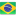 icone linguagem brasil